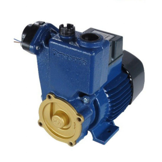 Máy bơm nước đẩy cao Panasonic GP-250JXK-SV5