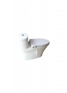 Bàn Cầu INAX AC-959A/CW-S15VN Nắp Rửa Cơ